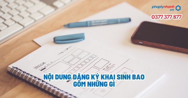 Nội dung đăng ký khai sinh bao gồm những gì? 1 Nội dung đăng ký khai sinh bao gồm những gì - Tư vấn, hỗ trợ pháp lý nhanh