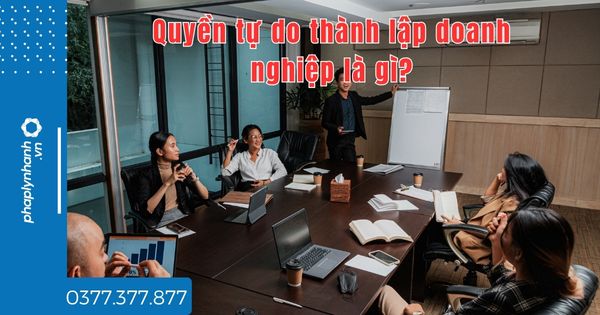 Quyền tự do thành lập doanh nghiệp là gì? 1 Quyền tự do thành lập doanh nghiệp là gì - tư vấn hỗ trợ pháp lý nhanh