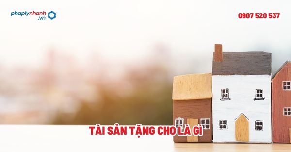 Tài sản tặng cho là gì? 1 Tài sản tặng cho là gì - Tư vấn, hỗ trợ pháp lý nhanh