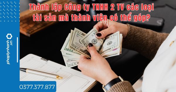 Thành lập Công ty TNHH 2 TV các loại tài sản mà thành viên có thể góp? 1 Thành lập Công ty TNHH 2 TV các loại tài sản mà thành viên có thể góp - tư vấn hỗ trợ pháp lý nhanh