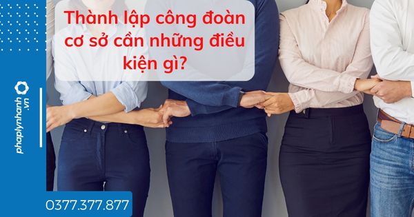 Thành lập công đoàn cơ sở cần những điều kiện gì? 1 Thành lập công đoàn cơ sở cần những điều kiện gì - tư vấn hỗ trợ pháp lý nhanh