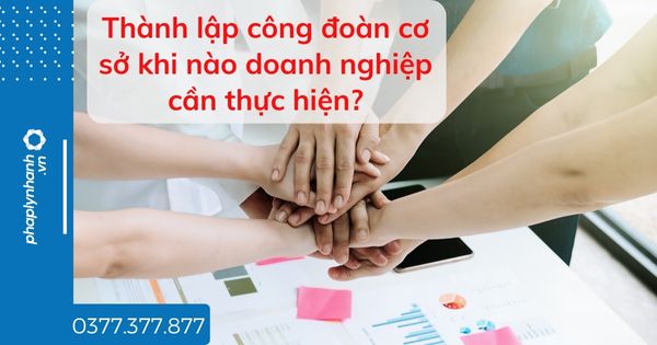 Thành lập công đoàn cơ sở khi nào doanh nghiệp cần thực hiện? 1 Thành lập công đoàn cơ sở khi nào doanh nghiệp cần thực hiện - tư vấn hỗ trợ pháp lý nhanh