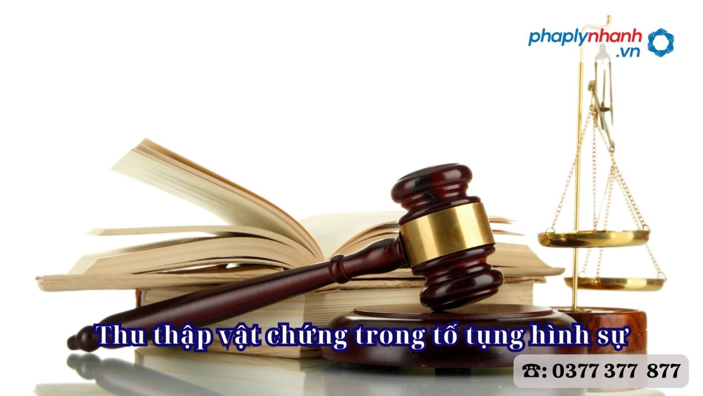 Thu thập vật chứng trong tố tụng hình sự 1 Thu thập vật chứng trong tố tụng hình sự - Tư vấn, hỗ trợ pháp lý nhanh