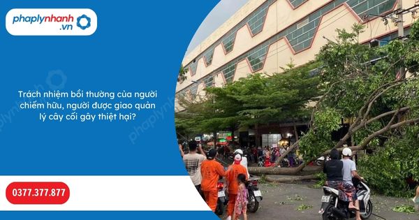 Trách nhiệm bồi thường của người chiếm hữu, người được giao quản lý cây cối gây thiệt hại? 1 Trách nhiệm bồi thường của người chiếm hữu, người được giao quản lý cây cối gây thiệt hại-Hỗ trợ, tư vấn pháp lý nhanh