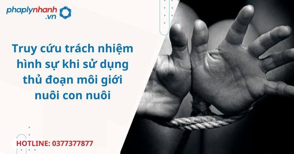 Sử dụng thủ đoạn môi giới nuôi con nuôi bị truy cứu trách nhiệm hình sự thế nào? 1 Sử dụng thủ đoạn môi giới nuôi con nuôi bị truy cứu trách nhiệm hình sự thế nào?