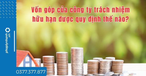 Vốn góp của công ty trách nhiệm hữu hạn được quy định thế nào? 1 Vốn góp của công ty trách nhiệm hữu hạn được quy định thế nào - tư vấn hỗ trợ pháp lý nhanh