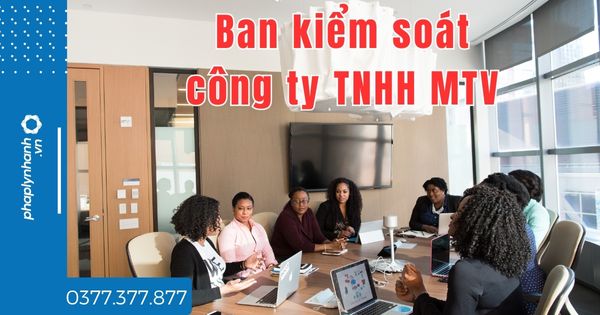 Ban kiểm soát công ty TNHH MTV quy định thế nào - tư vấn hỗ trợ pháp lý nhanh