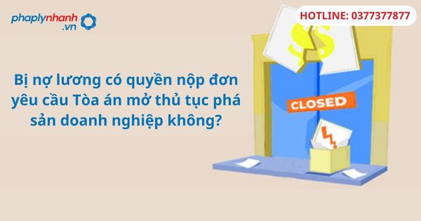 Bị nợ lương có quyền nộp đơn yêu cầu Tòa án mở thủ tục phá sản doanh nghiệp không? 9 Bị nợ lương có quyền nộp đơn yêu cầu Tòa án mở thủ tục phá sản doanh nghiệp không-hỗ trợ tư vấn pháp lý