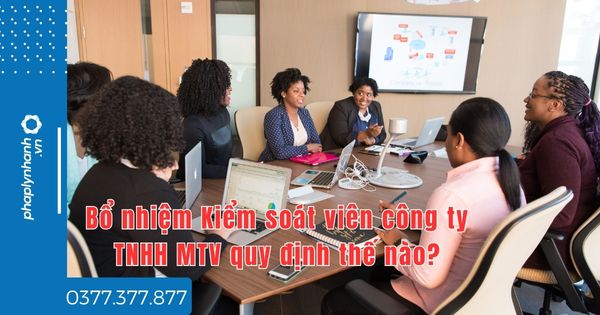 Bổ nhiệm Kiểm soát viên công ty TNHH MTV quy định thế nào - tư vấn hỗ trợ pháp lý nhanh