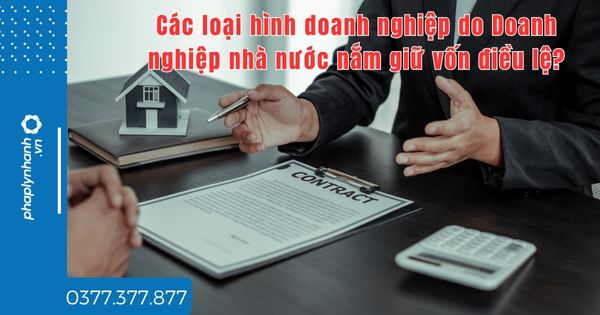Các loại hình doanh nghiệp do Doanh nghiệp nhà nước nắm giữ vốn điều lệ - tư vấn hỗ trợ pháp lý nhanh