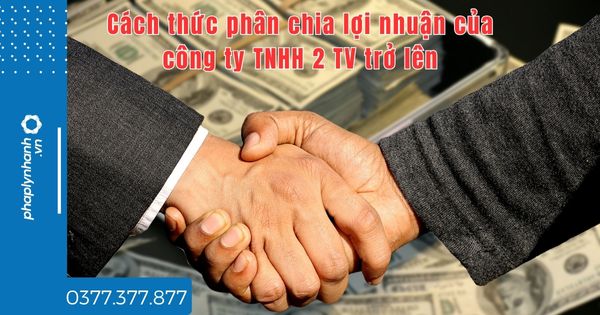 Cách thức phân chia lợi nhuận của công ty TNHH 2 TV trở lên? 1 Cách thức phân chia lợi nhuận của công ty TNHH 2 TV trở lên - tư vấn hỗ trợ pháp lý nhanh