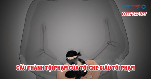 Cấu thành tội phạm của tội che giấu tôi phạm - Tư vấn, hỗ trợ pháp lý nhanh