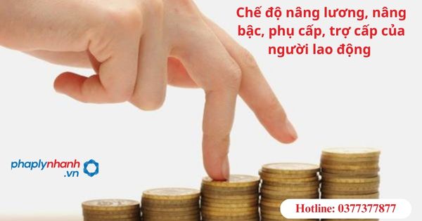 Chế độ nâng lương, nâng bậc, phụ cấp, trợ cấp của người lao động 1 Chế độ nâng lương, nâng bậc, phụ cấp, trợ cấp của người lao động