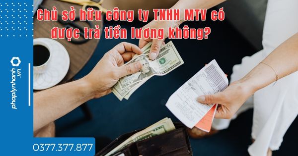 Chủ sở hữu công ty TNHH MTV có được trả tiền lương không? 1 Chủ sở hữu công ty TNHH MTV có được trả tiền lương không - tư vấn hỗ trợ pháp lý nhanh
