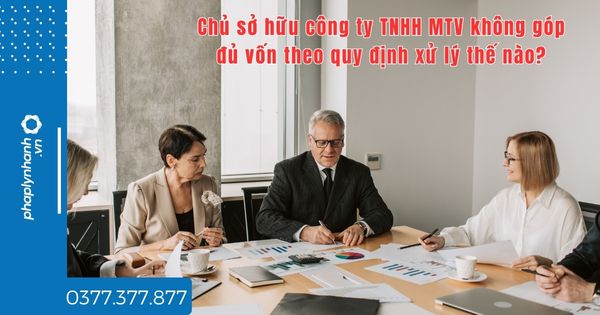 Chủ sở hữu công ty TNHH MTV không góp đủ vốn theo quy định xử lý thế nào - tư vấn hỗ trợ pháp lý nhanh