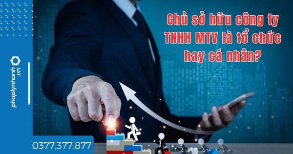 Chủ sở hữu công ty TNHH MTV là tổ chức hay cá nhân? 1 Chủ sở hữu công ty TNHH MTV là tổ chức hay cá nhân - tư vấn hỗ trợ pháp lý nhanh
