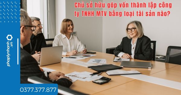 Chủ sở hữu góp vốn thành lập công ty TNHH MTV bằng loại tài sản nào? 1 Chủ sở hữu góp vốn thành lập công ty TNHH MTV bằng loại tài sản nào - tư vấn hỗ trợ pháp lý nhanh