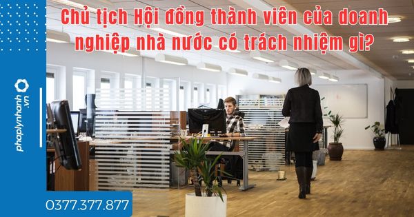Chủ tịch Hội đồng thành viên của doanh nghiệp nhà nước có trách nhiệm gì? 1 Chủ tịch Hội đồng thành viên của doanh nghiệp nhà nước có trách nhiệm gì -tư vấn hỗ trợ pháp lý nhanh
