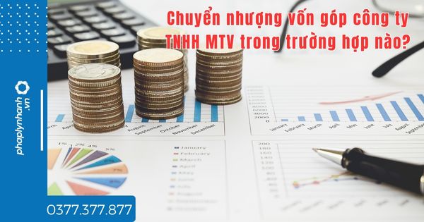 Chuyển nhượng vốn góp công ty TNHH MTV trong trường hợp nào - tư vấn hỗ trợ pháp lý nhanh