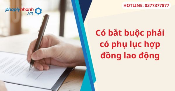 Có bắt buộc phải có phụ lục hợp đồng lao động 5 Có bắt buộc phải có phụ lục hợp đồng lao động-hỗ trợ tư vấn pháp lý