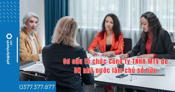 Cơ cấu tổ chức Công ty TNHH MTV do DN nhà nước làm chủ sở hữu - tư vấn hỗ trợ pháp lý nhanh