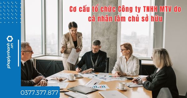 Cơ cấu tổ chức Công ty TNHH MTV do cá nhân làm chủ sở hữu? 1 Cơ cấu tổ chức Công ty TNHH MTV do cá nhân làm chủ sở hữu - tư vấn hỗ trợ pháp lý nhanh