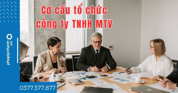 Cơ cấu tổ chức công ty TNHH MTV là gì? 1 Cơ cấu tổ chức công ty TNHH MTV là gì - tư vấn hỗ trợ pháp lý nhanh