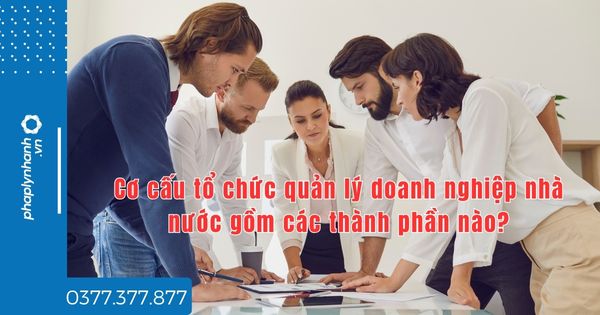 Cơ cấu tổ chức quản lý doanh nghiệp nhà nước gồm các thành phần nào? 1 Cơ cấu tổ chức quản lý doanh nghiệp nhà nước gồm các thành phần nào - tư vấn hỗ trợ pháp lý nhanh