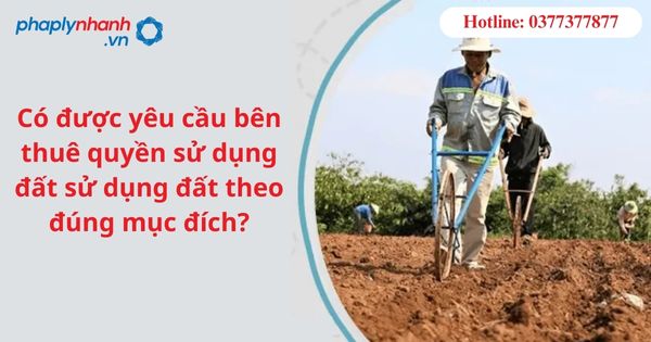 Có được yêu cầu bên thuê quyền sử dụng đất sử dụng đất theo đúng mục đích? 1 Có được yêu cầu bên thuê quyền sử dụng đất sử dụng đất theo đúng mục đích?