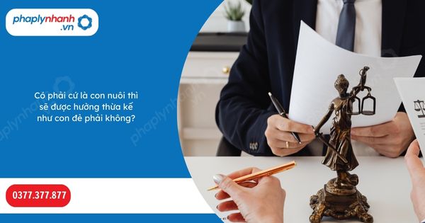 Có phải cứ là con nuôi thì sẽ được hưởng thừa kế như con đẻ phải không? 1 Có phải cứ là con nuôi thì sẽ được hưởng thừa kế như con đẻ phải không-Hỗ trợ, tư vấn pháp lý nhanh