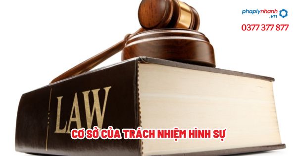 Cơ sở của trách nhiệm hình sự? 1 Cơ sở của trách nhiệm hình sự - Tư vấn, hỗ trợ pháp lý nhanh