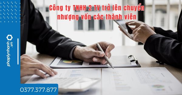 Công ty TNHH 2 TV trở lên chuyển nhượng vốn các thành viên - tư vấn hỗ trợ pháp lý nhanh