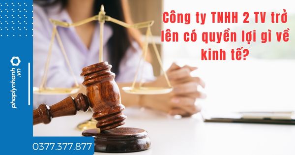 Công ty TNHH 2 TV trở lên có quyền lợi gì về kinh tế? 1 Công ty TNHH 2 TV trở lên có quyền lợi gì về kinh tế - tư vấn hỗ trợ pháp lý nhanh
