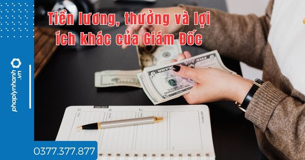 Công ty TNHH 2 TV trở lên quy định tiền lương, thưởng và lợi ích khác của Giám Đốc thế nào? 1 Công ty TNHH 2 TV trở lên quy định tiền lương, thưởng và lợi ích khác của Giám Đốc thế nào - tư vấn hỗ trợ pháp lý nhanh