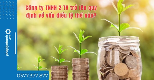 Công ty TNHH 2 TV trở lên quy định về vốn điều lệ thế nào? 1 Công ty TNHH 2 TV trở lên quy định về vốn điều lệ thế nào - tư vấn hỗ trợ pháp lý nhanh