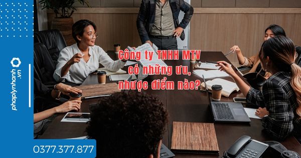 Công ty TNHH MTV có những ưu, nhược điểm nào? 1 Công ty TNHH MTV có những ưu, nhược điểm nào - tư vấn hõ trợ pháp lý nhanh