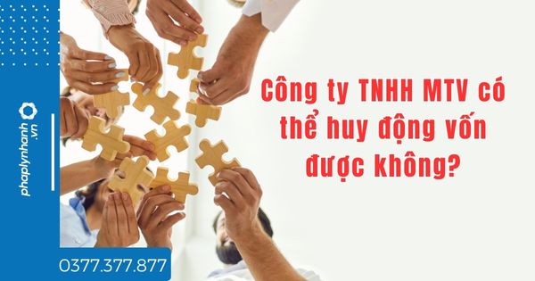 Công ty TNHH MTV có thể huy động vốn được không? 1 Công ty TNHH MTV có thể huy động vốn được không -tư vấn hỗ trợ pháp lý nhanh