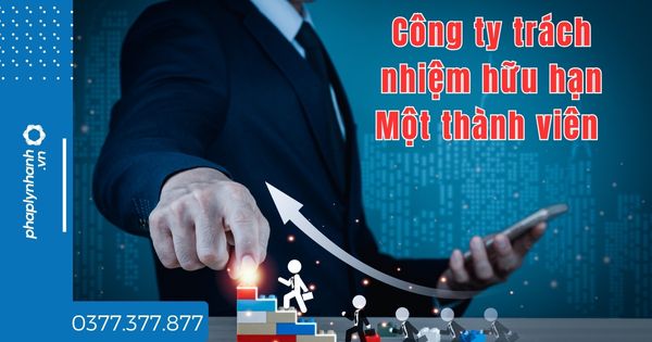 Công ty TNHH MTV là gì - tư vấn hỗ trợ pháp lý nhanh