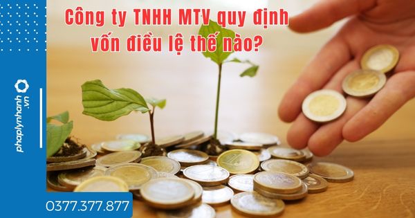 Công ty TNHH MTV quy định vốn điều lệ thế nào? 1 Công ty TNHH MTV quy định vốn điều lệ thế nào - tư vấn hỗ trợ pháp lý nhanh