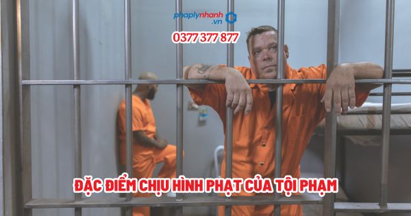 Đặc điểm chịu hình phạt của tội phạm? 1 Đặc điểm chịu hình phạt của tội phạm - Tư vấn, hỗ trợ pháp lý nhanh