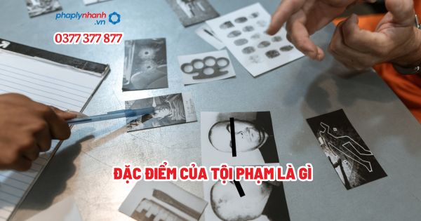 Đặc điểm của tội phạm là gì? 1 Đặc điểm của tội phạm là gì - Tư vấn, hỗ trợ pháp lý nhanh