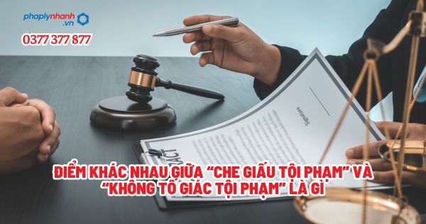 Điểm khác nhau giữa “Che giấu tội phạm” và “Không tố giác tội phạm” là gì? 1 Điểm khác nhau giữa “Che giấu tội phạm” và “Không tố giác tội phạm” là gì - Tư vấn, hỗ trợ pháp lý nhanh