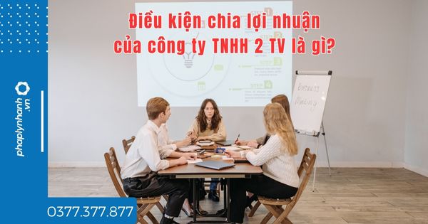 Điều kiện chia lợi nhuận của công ty TNHH 2 TV là gì? 1 Điều kiện chia lợi nhuận của công ty TNHH 2 TV là gì - tư vấn hỗ trợ pháp lý nhanh