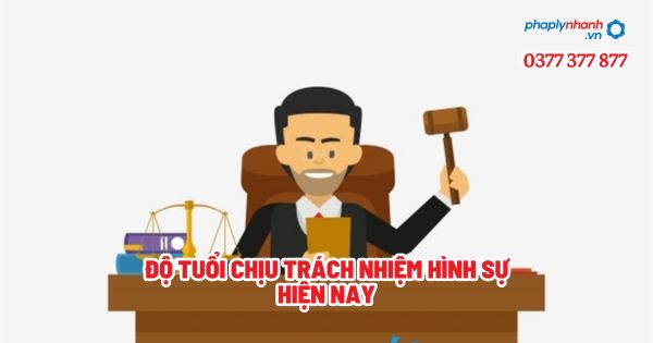 Độ tuổi chịu trách nhiệm hình sự hiện nay? 1 Độ tuổi chịu trách nhiệm hình sự hiện nay - Tư vấn, hỗ trợ pháp lý nhanh