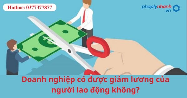 Doanh nghiệp có được giảm lương của người lao động không? 1 Doanh nghiệp có được giảm lương của người lao động không?