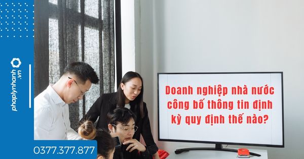Doanh nghiệp nhà nước công bố thông tin định kỳ quy định thế nào? 1 Doanh nghiệp nhà nước công bố thông tin định kỳ quy định thế nào - tư vấn hỗ trợ pháp lý nhanh