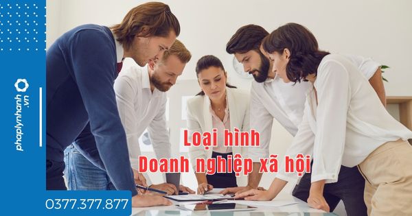 Doanh nghiệp xã hội có các loại hình nào? 1 Doanh nghiệp xã hội có các loại hình nào - tư vấn hỗ trợ pháp lý nhanh