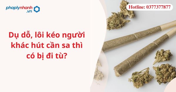 Dụ dỗ, lôi kéo người khác hút cần sa thì có bị đi tù? 1 Dụ dỗ, lôi kéo người khác hút cần sa thì có bị đi tù?