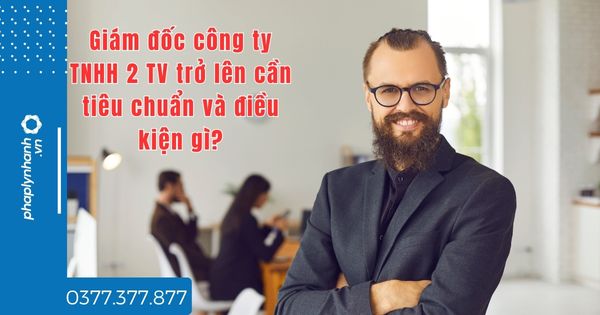 Giám đốc công ty TNHH 2 TV trở lên cần tiêu chuẩn và điều kiện gì -tư vấn hỗ trợ pháp lý nhanh