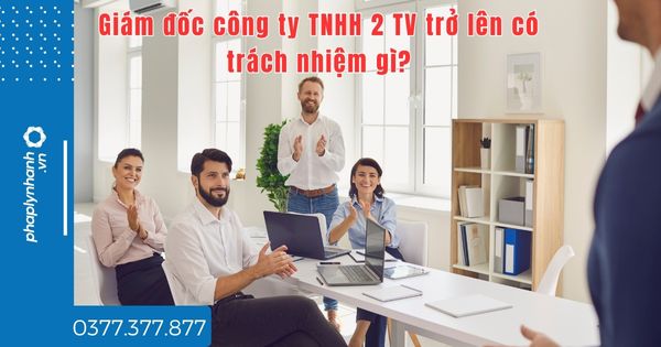 Giám đốc công ty TNHH 2 TV trở lên có trách nhiệm gì - tư vấn hỗ trợ pháp lý nhanh